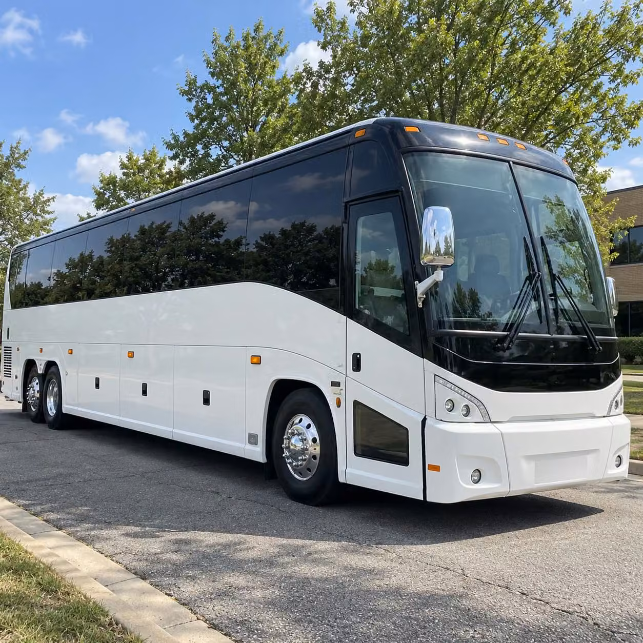 plan your san clemente field trip in 30 seconds with sanclementecharterbus com