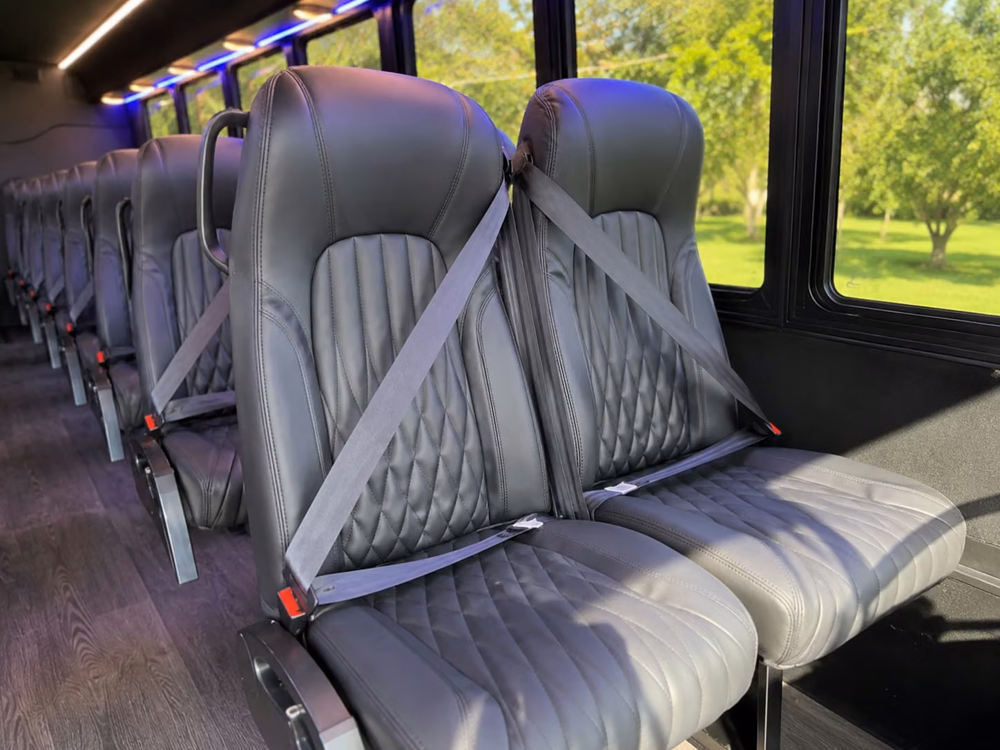 san clemente 18 passenger minibus rental