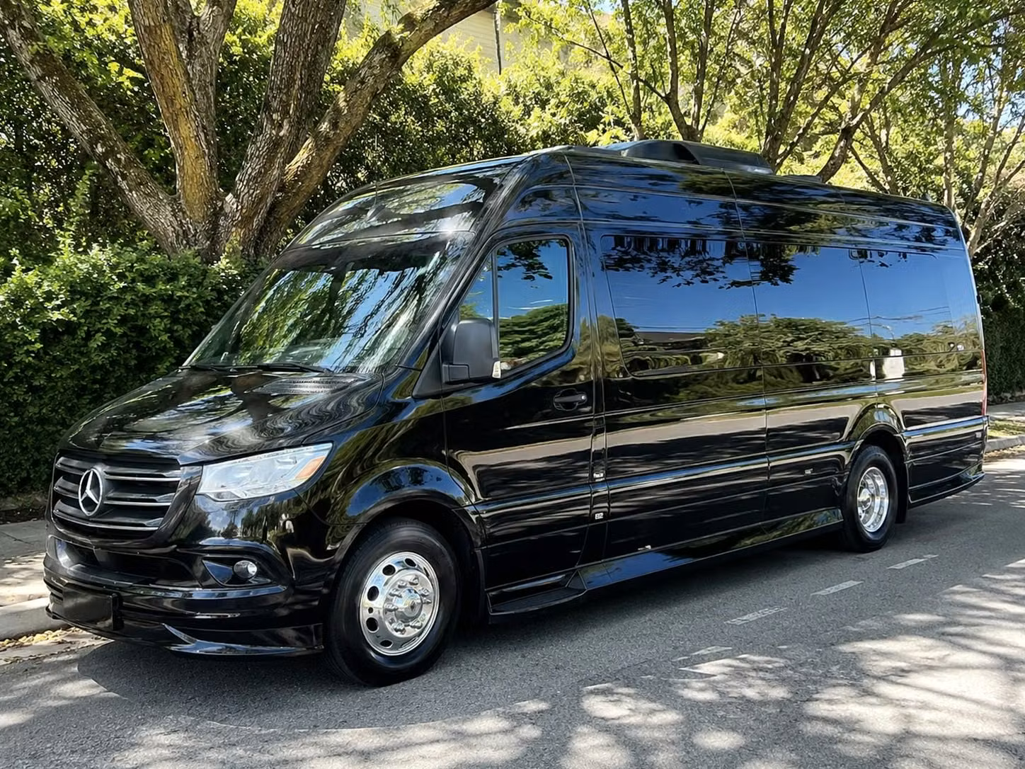 sprinter vans and minibuses are a perfect fit for smaller san clemente concert groups